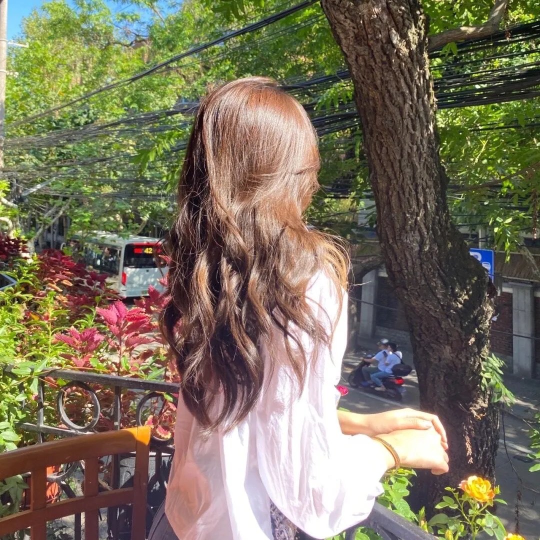 双面艾莉丝